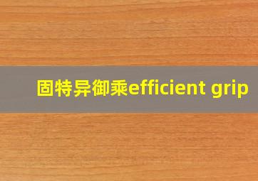 固特异御乘efficient grip